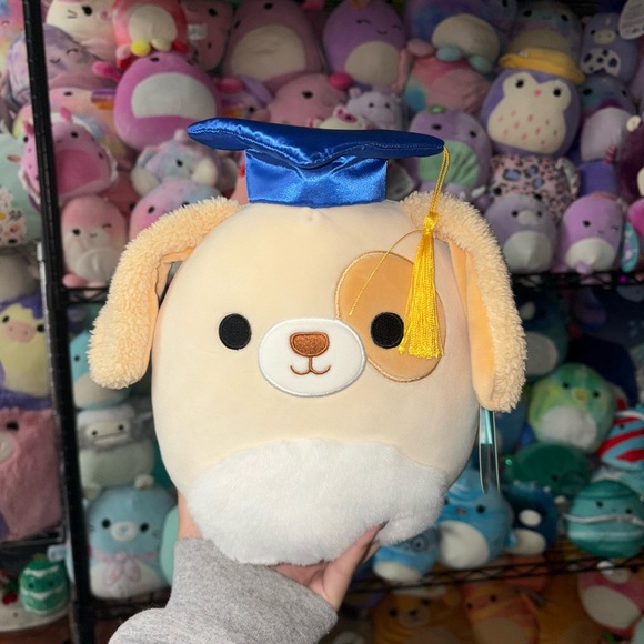 Squishmallows Accessories - Harris the tan dog with graduation grad cap squishmallow NWT 8in